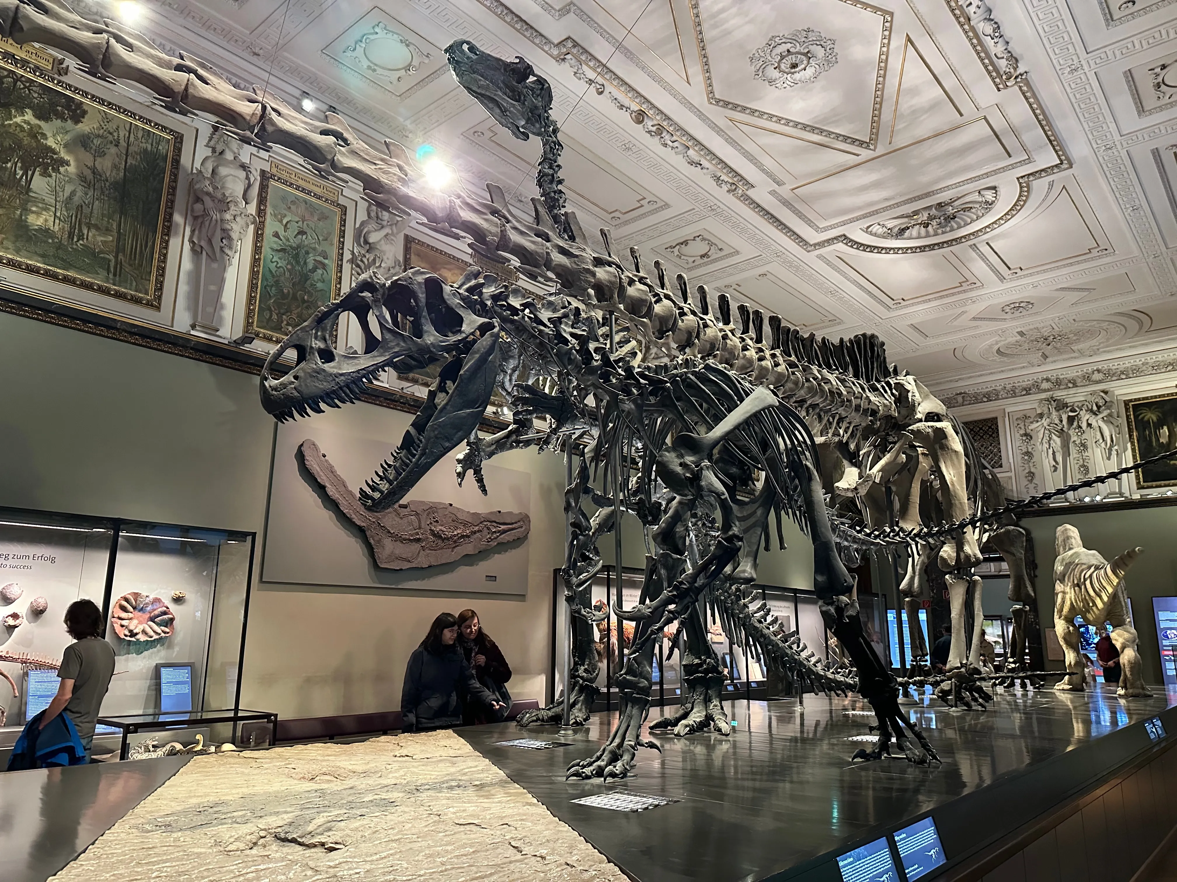 A theropod dinosaur skeleton in one of the Naturhistorisches halls
