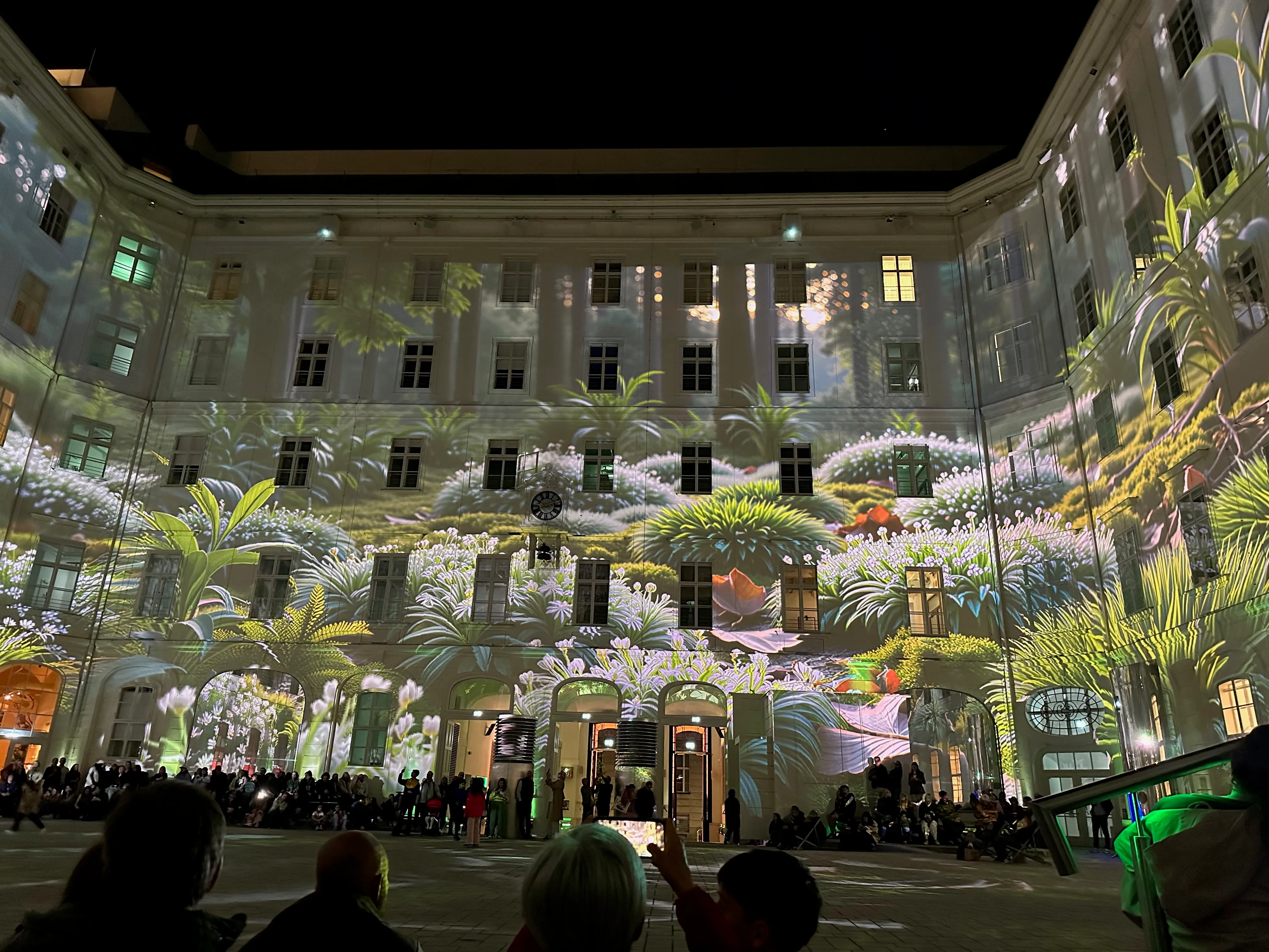 A second scene from the same light show — botanical projections of palms and flowers wrapping the entire courtyard
