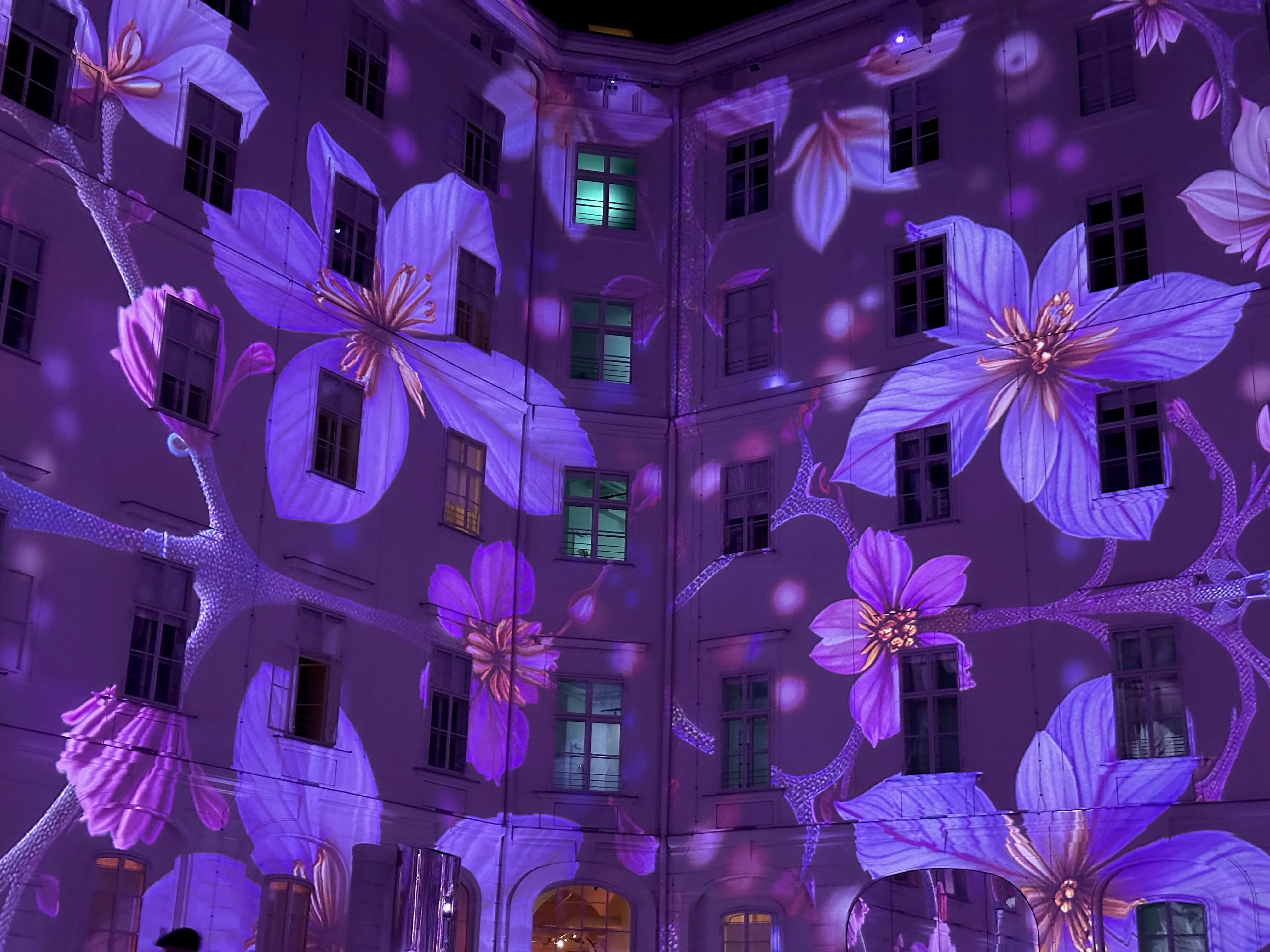 A third scene — giant lavender-flower projections covering every wall of the courtyard