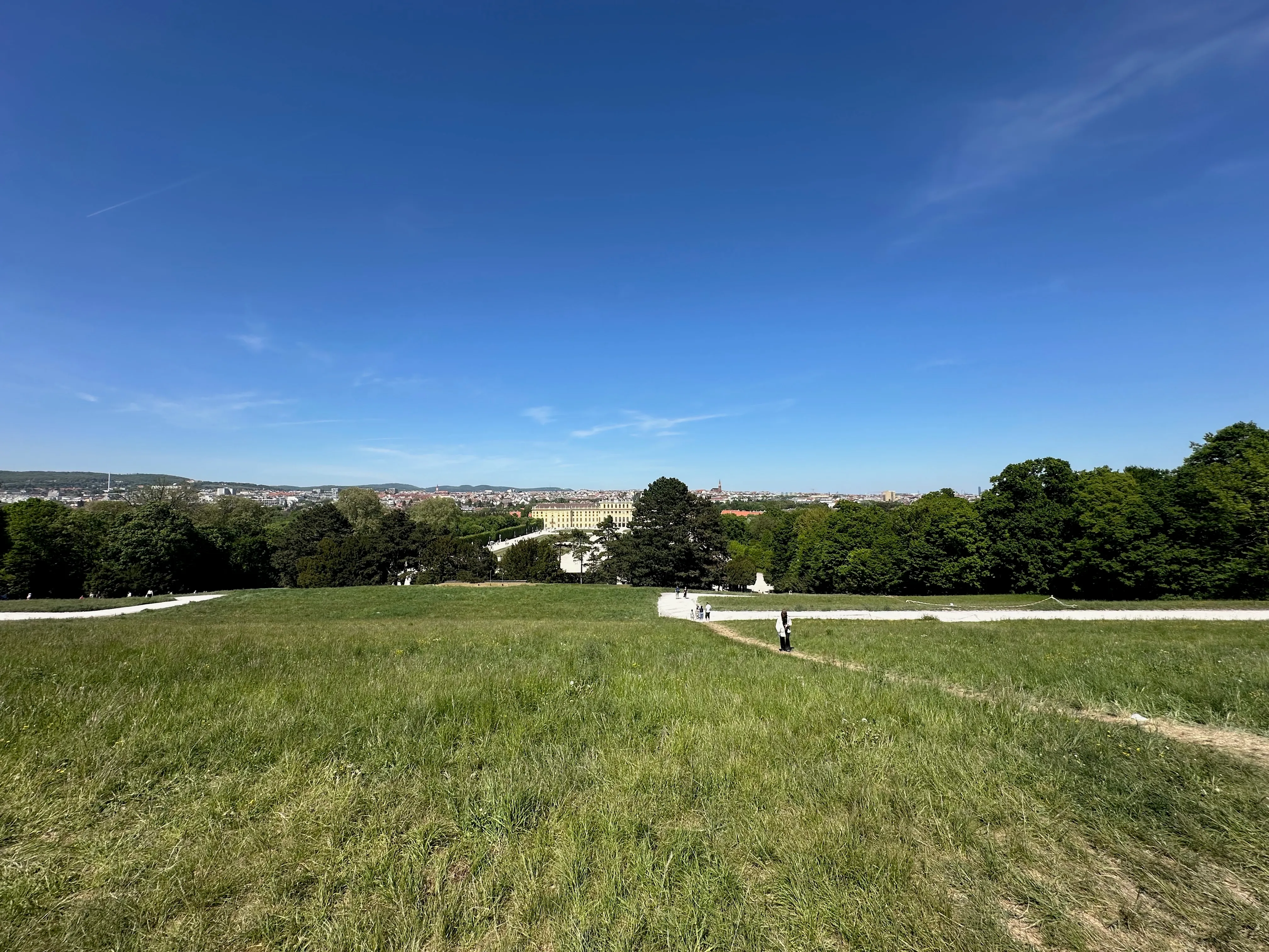 View from the hill behind Schönbrunn looking down at the palace and the Vienna skyline beyond