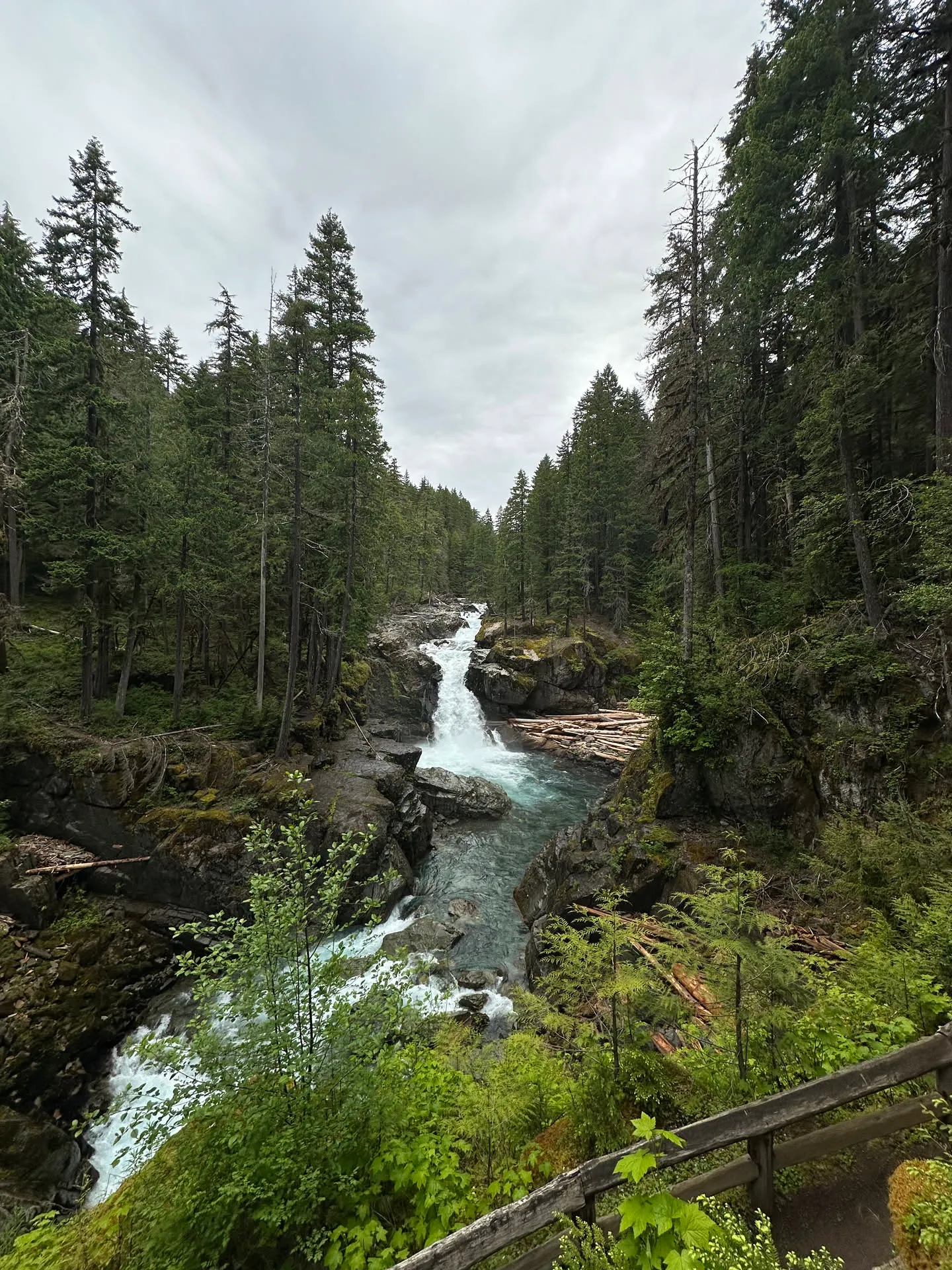 A turquoise meltwater creek tumbling through the forest
