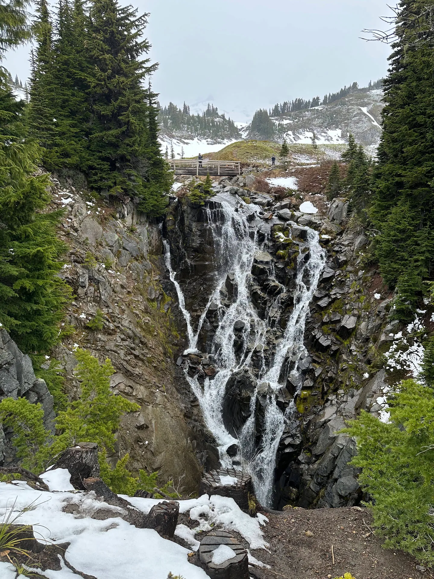 Myrtle Falls dropping past the last of the snow