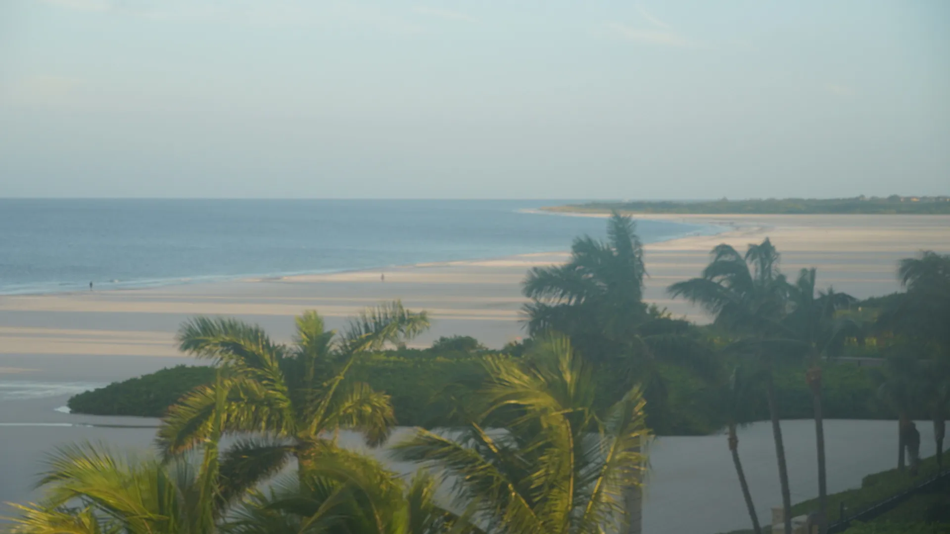 View through palms at Marco Island