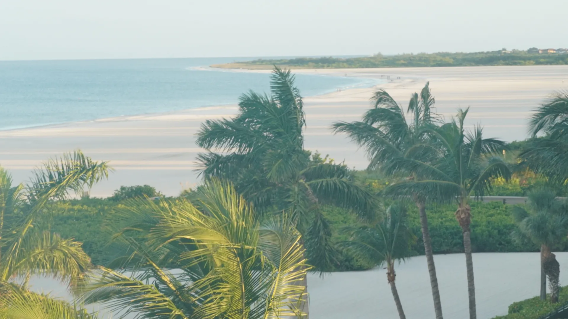 Sandbar with palms framing the view