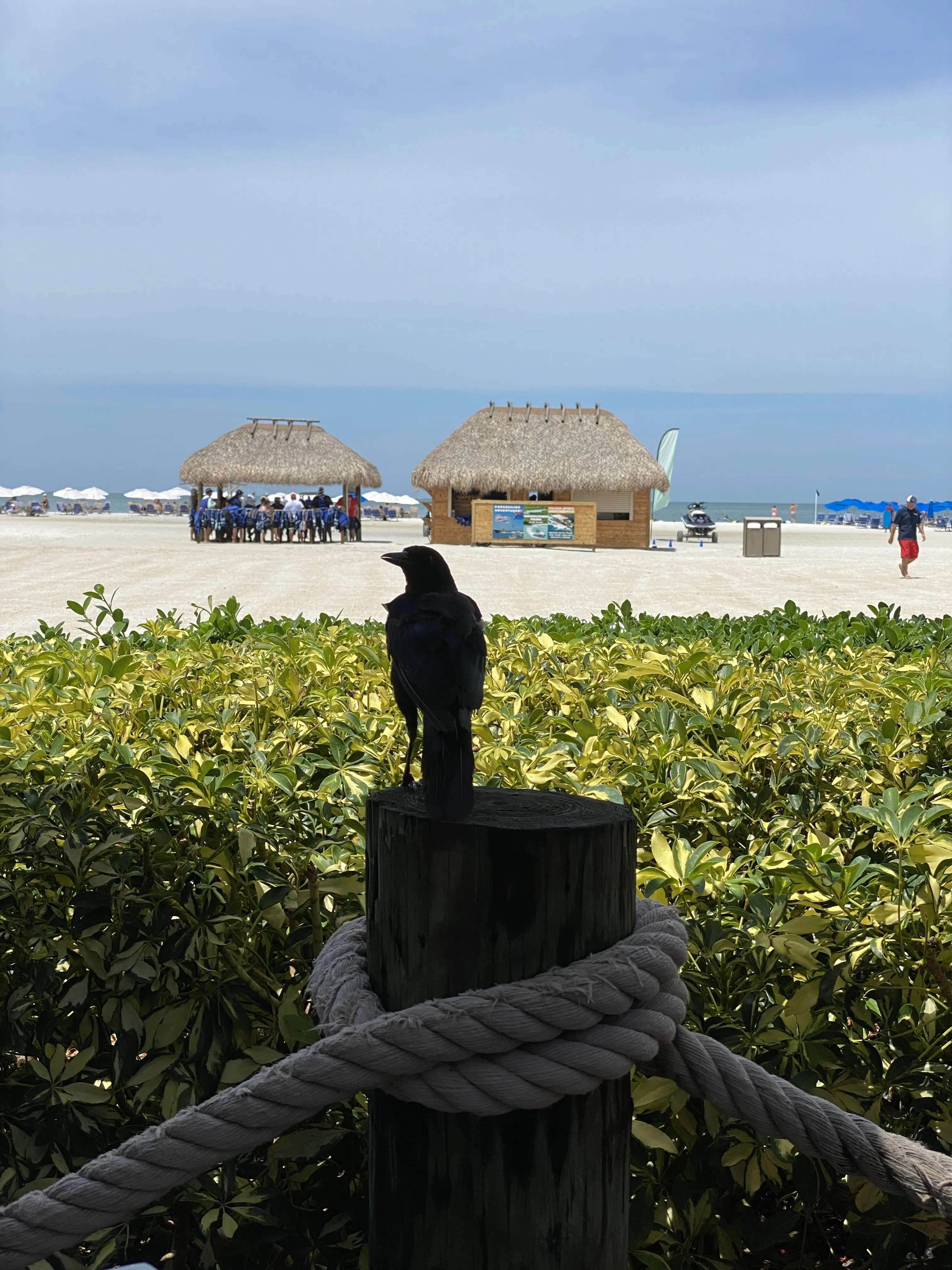 Beach with thatched-roof huts and a silhouetted figure